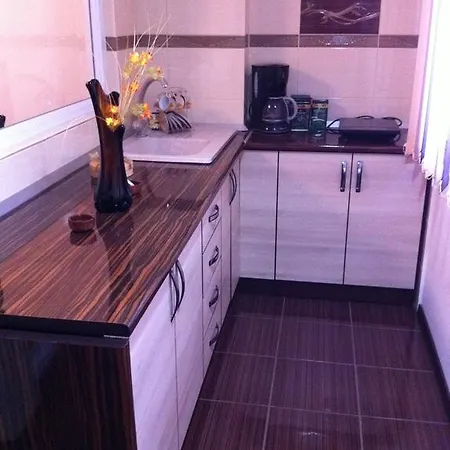 Apartament Garsoniera Dragut